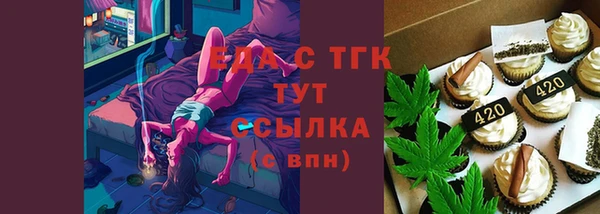 индика Саяногорск