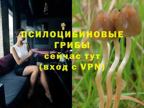 амф Горно-Алтайск